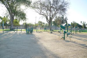 Outdoor fitness equipment in park surrounded by trees