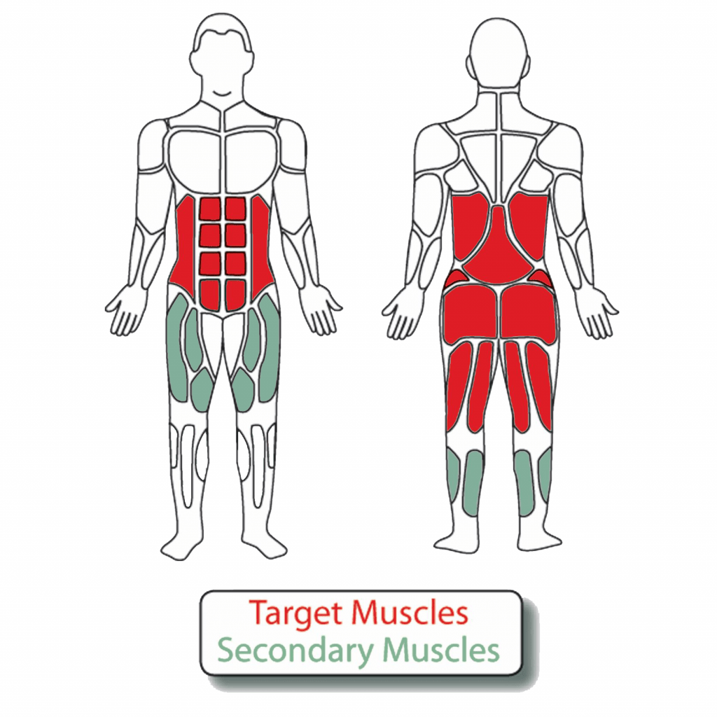 An illustration of Target Muscles in Red and the Secondary Muscles in Green used the Back Extension