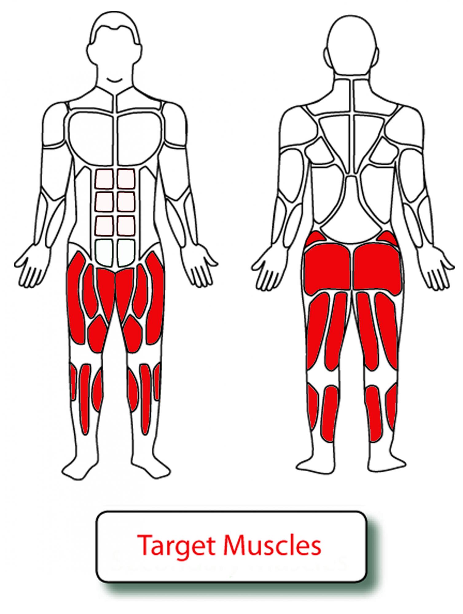 Muscle Groups for Upright Bike