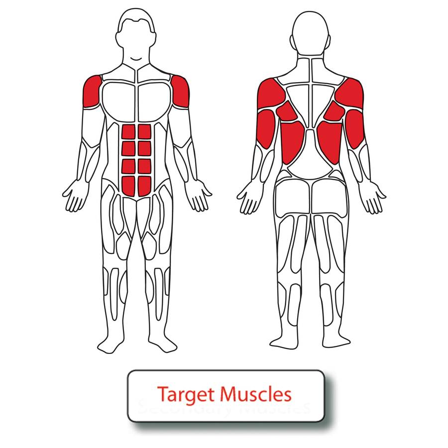 Muscle Groups for MT011 MILITARY Parallel Bars