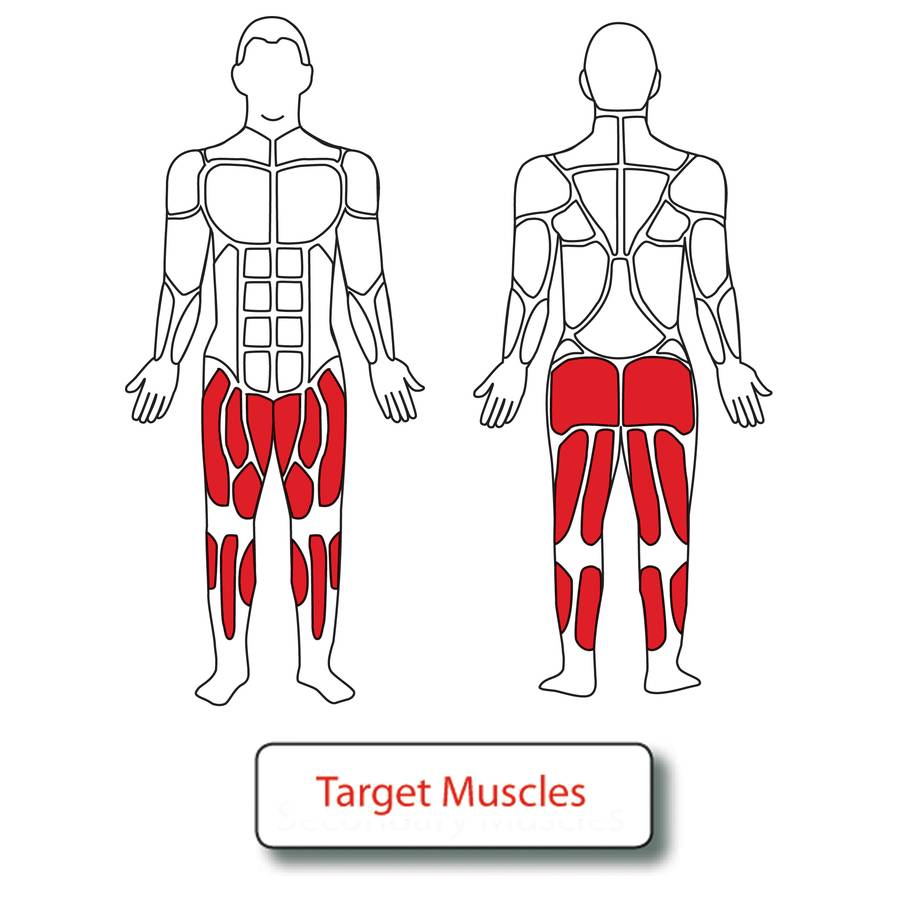 Muscle Groups for Plyometric Steps