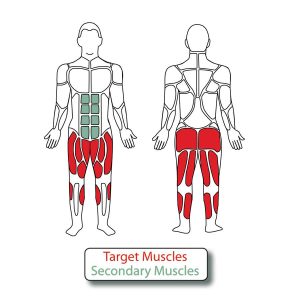 Diagram of the muscles used when exercising on the 4-Person Leg Press