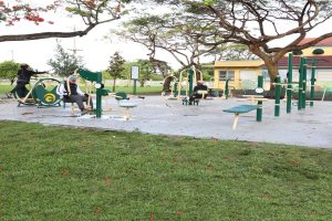 Outdoor fitness equipment under the canopy of tress