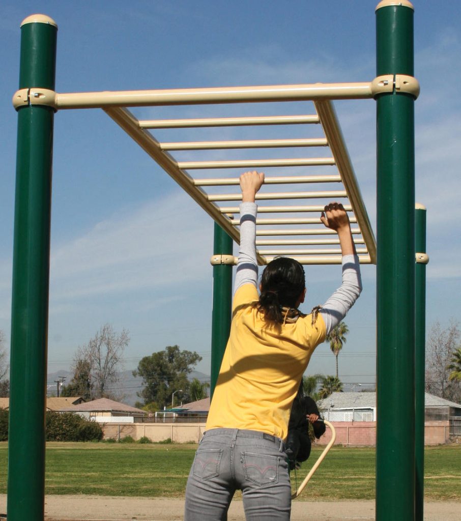 horizontal ladder in use