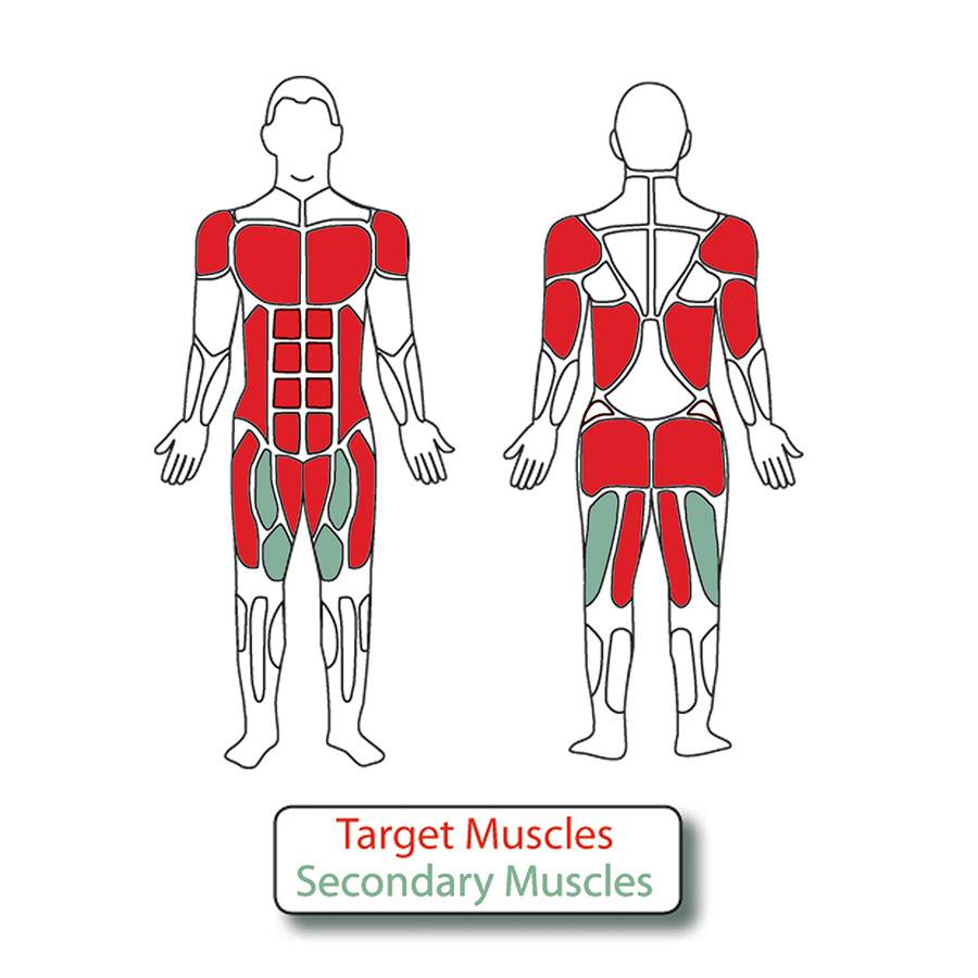 Diagram of the muscles used when exercising on the 4-Person Lower Body Combo