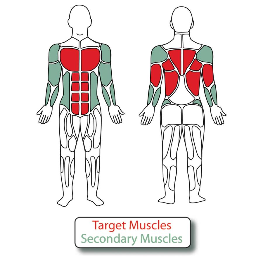 Diagram of the muscles used when exercising on the 4-Person Combo Bars